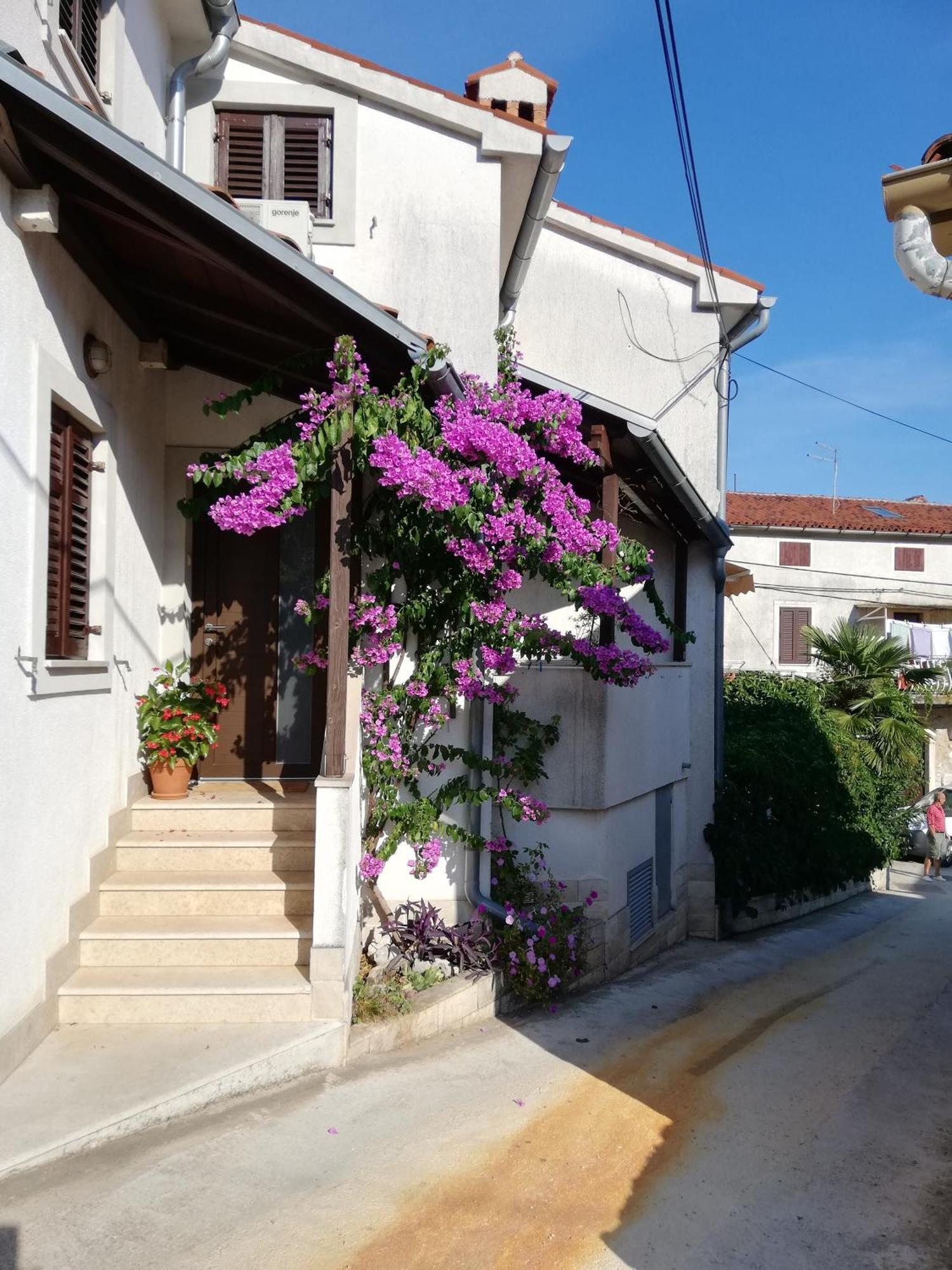 Apartments Renata - Brseč المظهر الخارجي الصورة