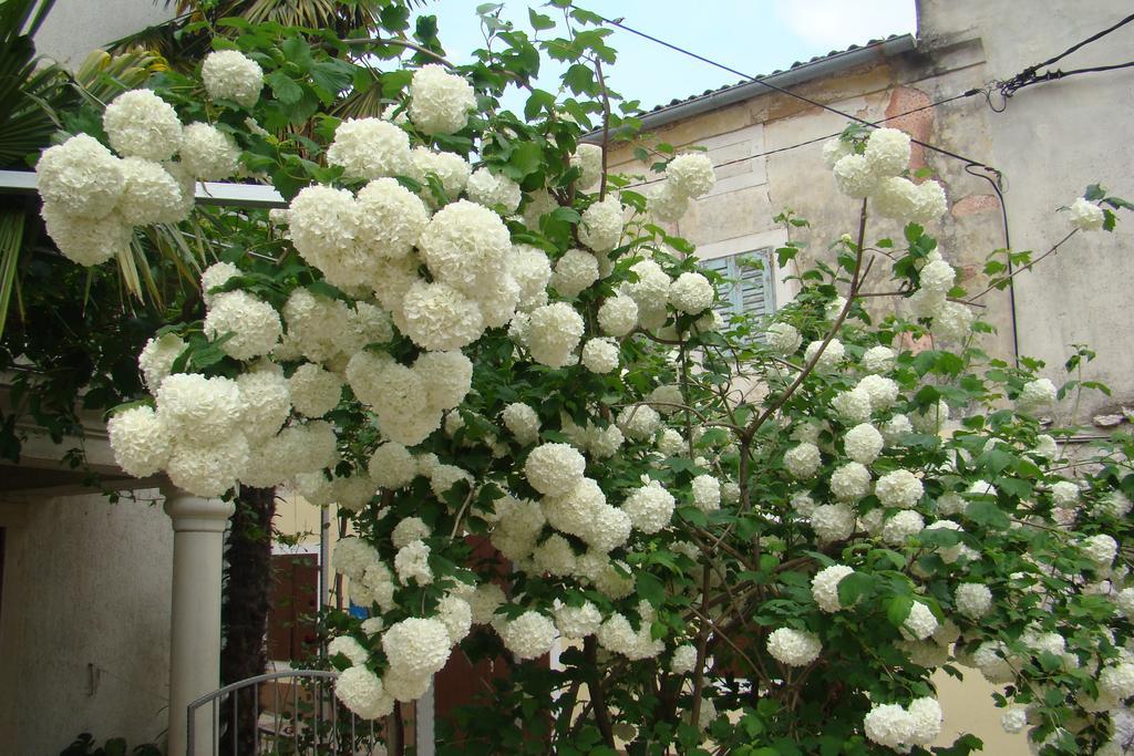 Apartments Renata - Brseč المظهر الخارجي الصورة